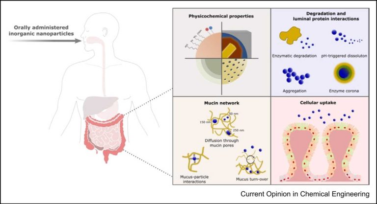Examples and Applications of Inorganic Nanoparticles