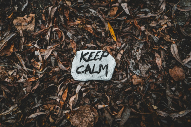 Calming Your Thoughts: A Guide for Professionals Battling Daily Anxiety